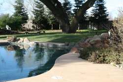 Clean & Sober Living Homes